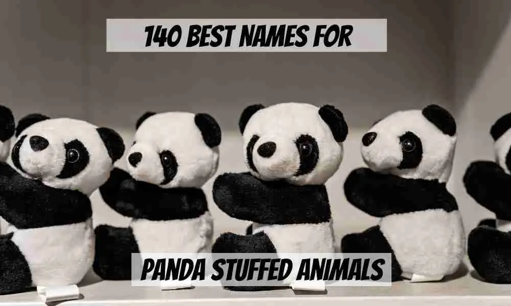 140 Best Names for Panda Stuffed Animals