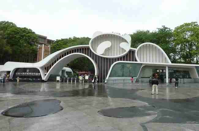 chengdu giant panda breeding center entrance