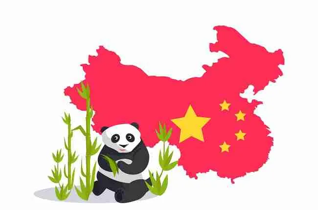 giant panda icon of china