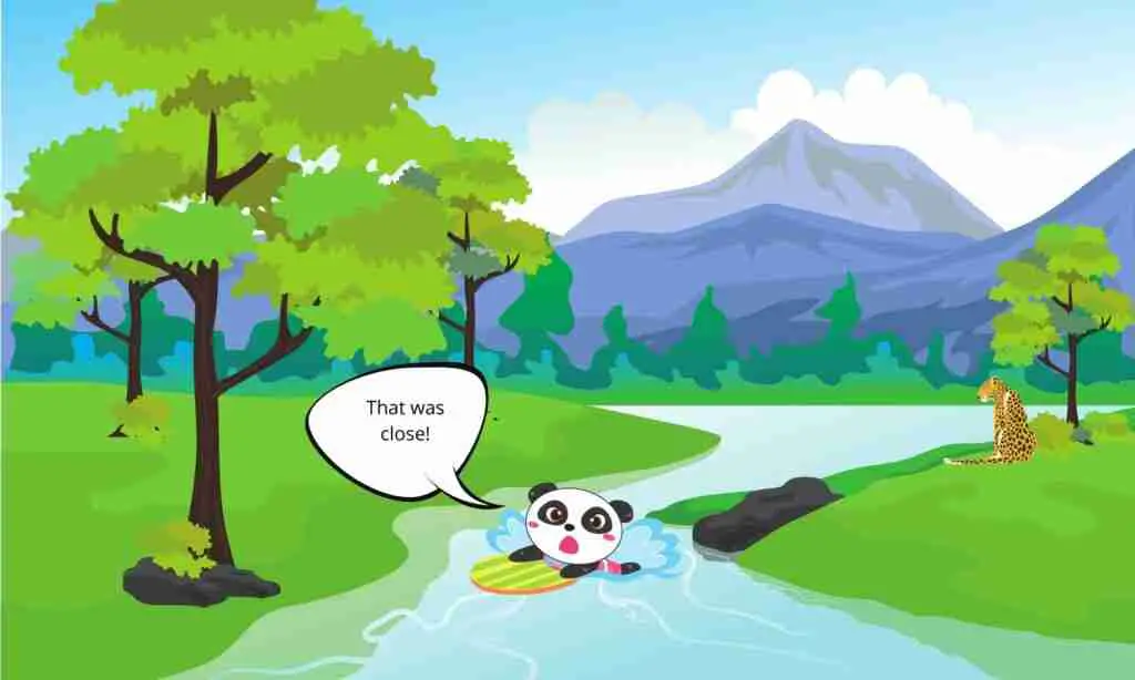 why do giant pandas swim