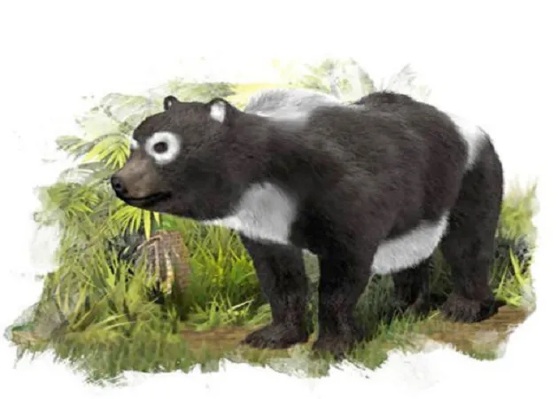 panda ancestors