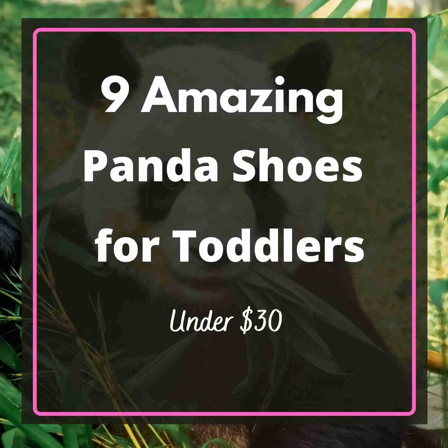 Panda Shoes for Toddlers Under 30