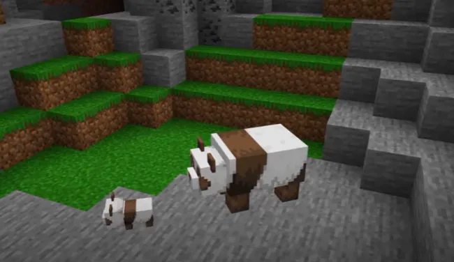 Brown Panda - the Rarest Panda in Minecraft?