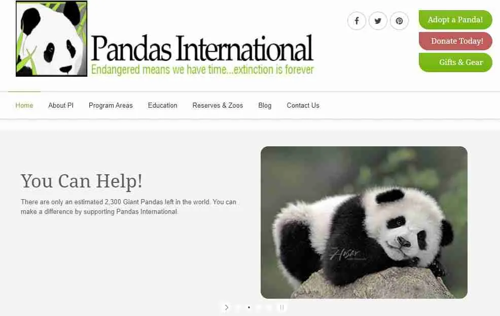 how can we save giant pandas from being extinct through pandas international