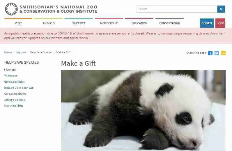 how can we save giant pandas from being extinct through smithsonian national zoo