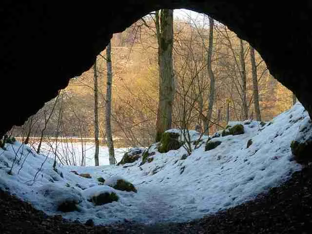 A snowy den
