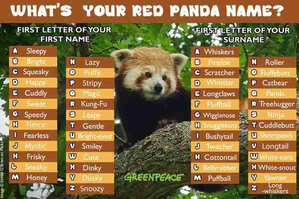 other names to call a red panda