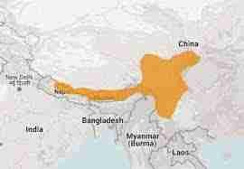 Where Does The Red Panda Live In All Parts Of The World Bestofpanda