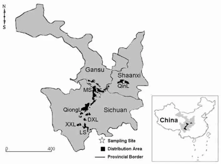 giant pandas migrate in min and qin mountains