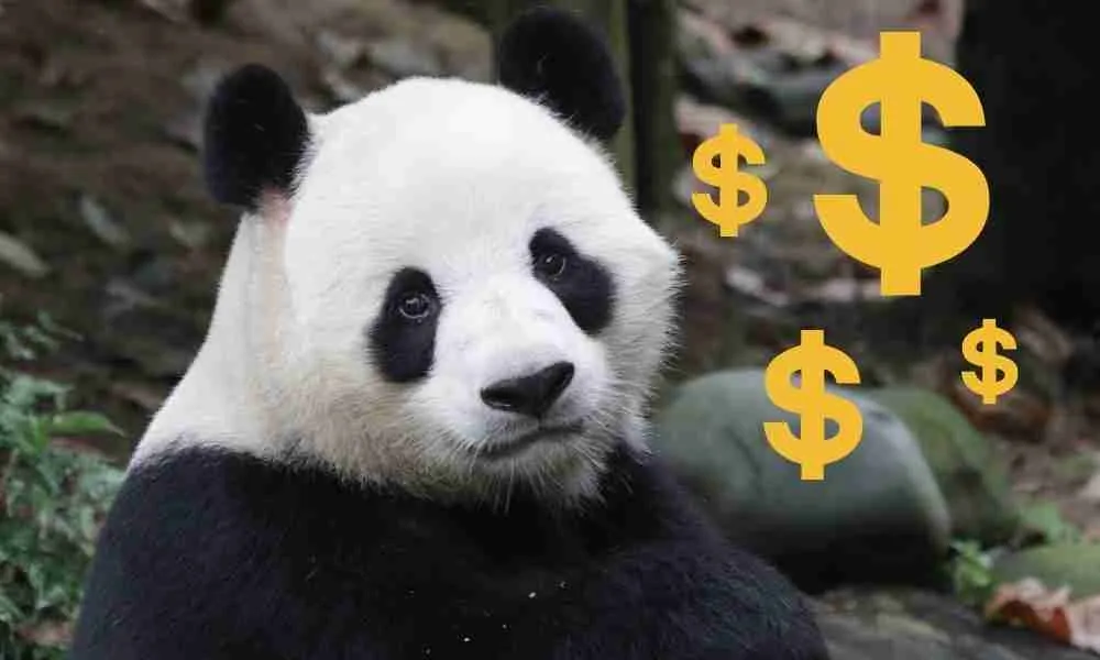 Giant Panda Loan Is Expensive