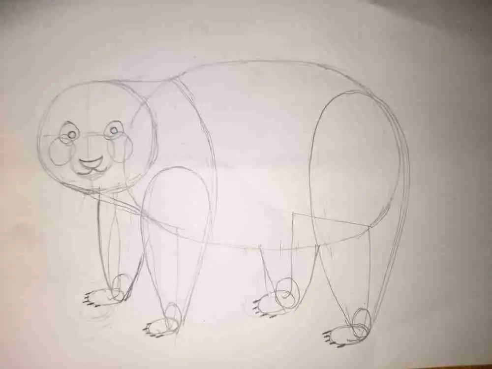 Drawing a Giant Panda - Step 7