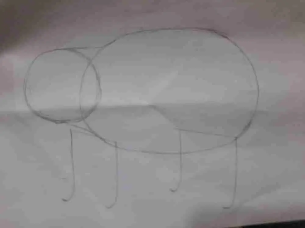 Drawing a giant panda - Step 4