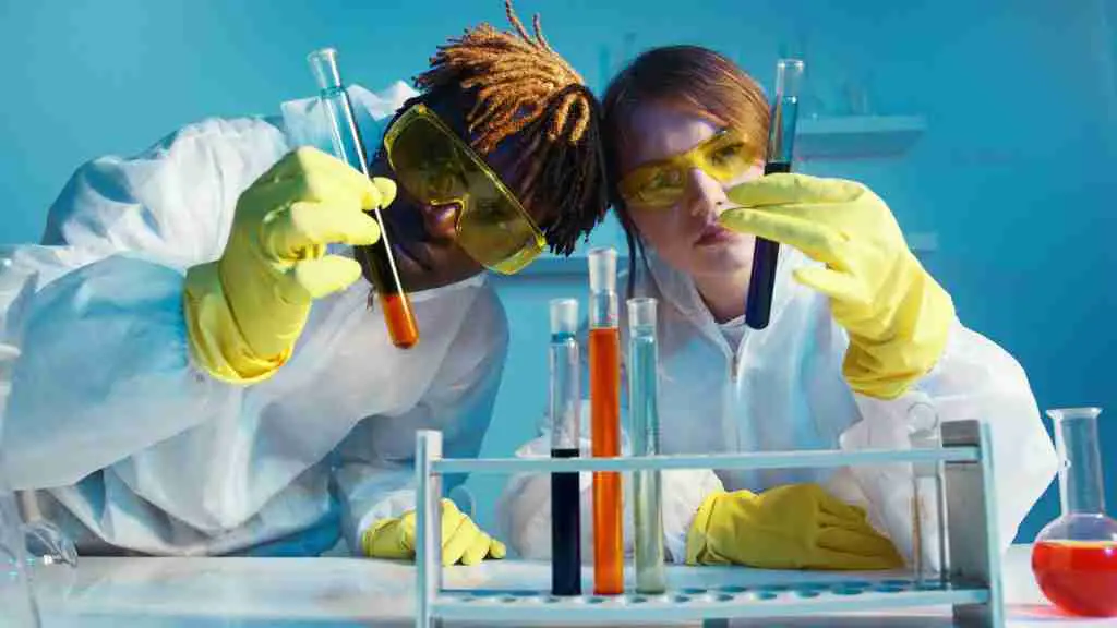 An image showing scientists looking at DNA to figure out the differences between the DNA structures of Racoons and Red Pandas