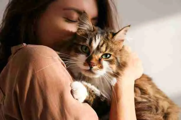 A Lady Petting Her Cat