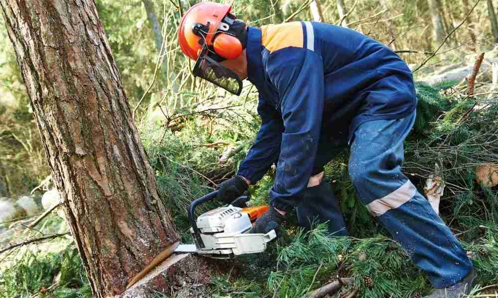 Man cutting a tree