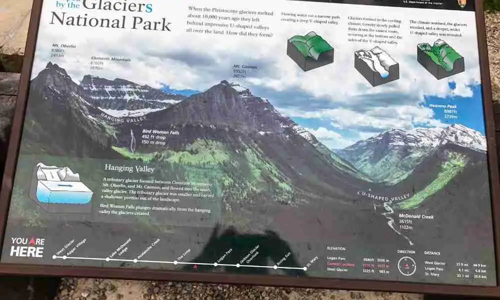 Glacier National Park Grizzly Bear habitat