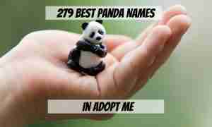 279 Names For Pandas In Adopt Me