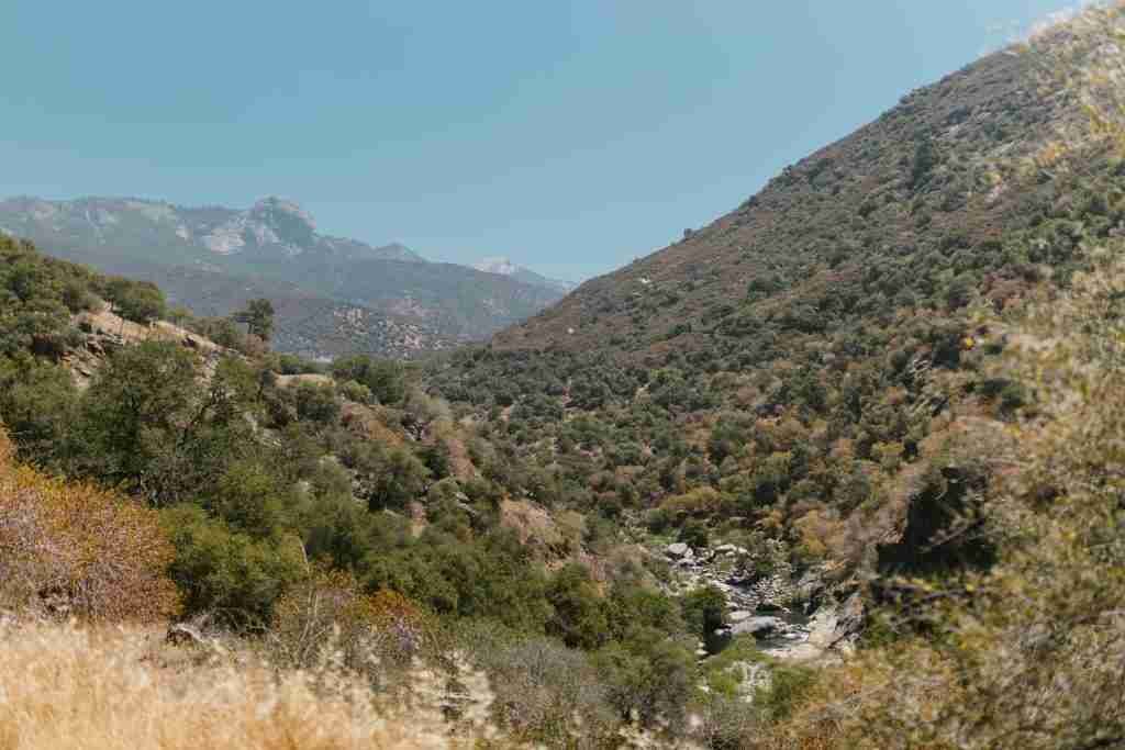 A picture of Qinling Mountains as a place to find pandas.