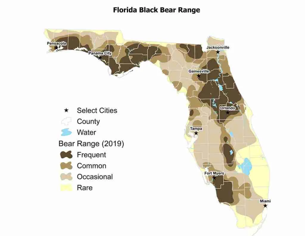 Black Bear Distribution in Florida 