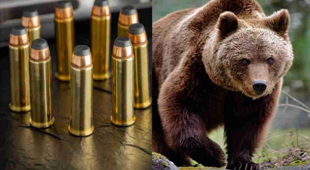 Bullets That Can Kill Bears - .44 Magnum Cartridges