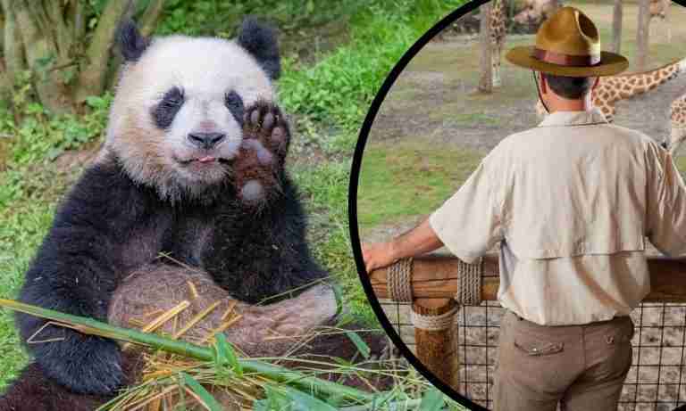 from-panda-nannies-to-travelling-beer-drinkers-here-are-9-dream-jobs